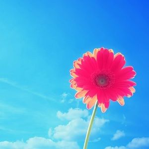 Meet your Posher, Lyndsay